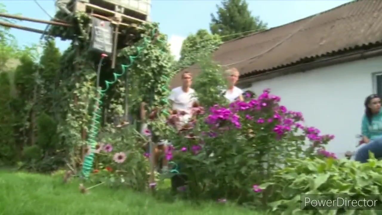 Czech Garden party