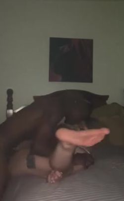 Voluptuous White Barely Legal Takes big black dick