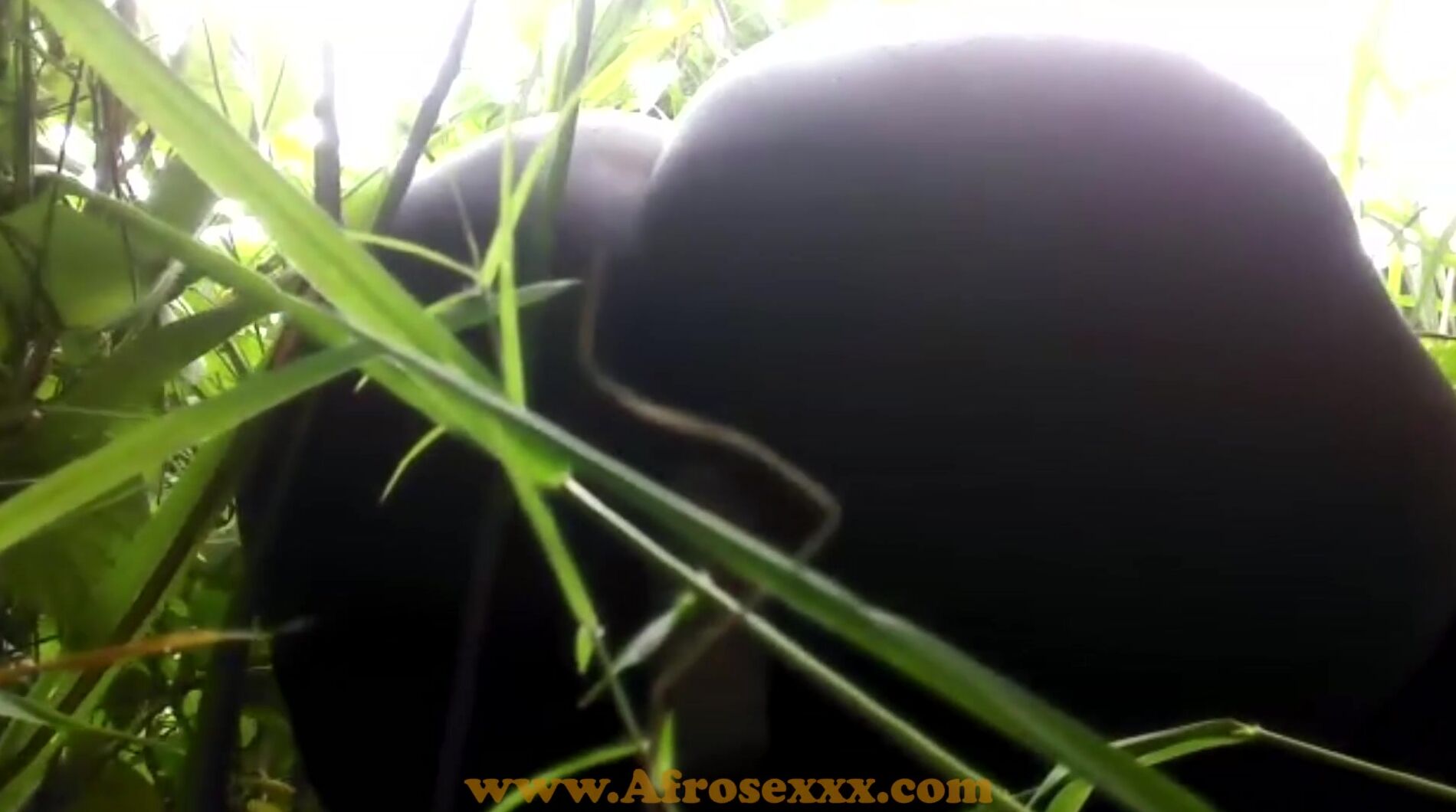 Native Black Toy Masturbating into the Jungle