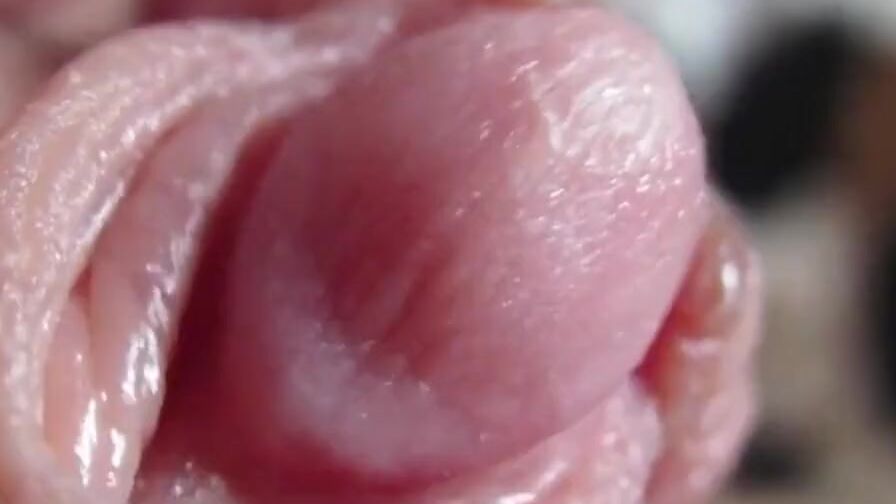 Gigantic Clitoris close-up