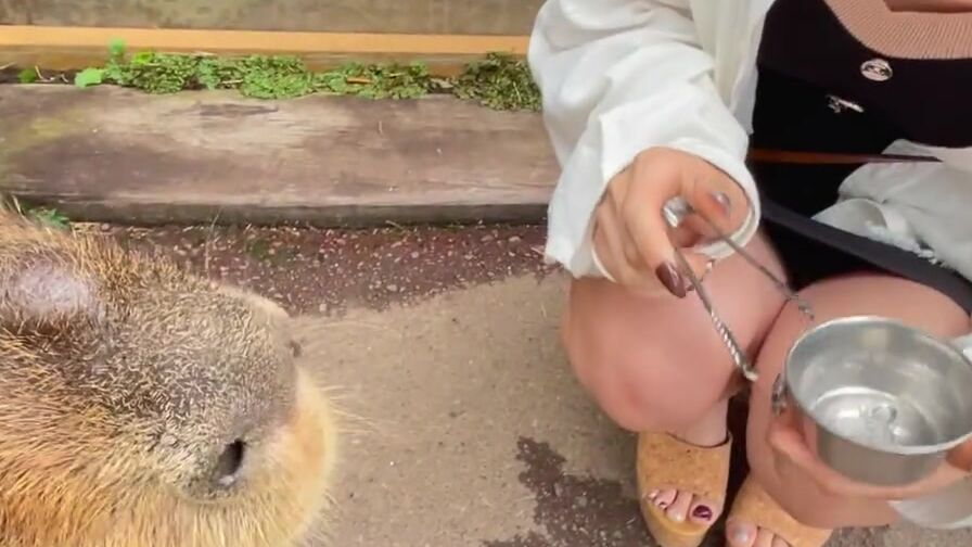 動物園で女子大生と露出ハメ撮りデートから露天風呂で野外露出で見せつけ中出しSEX！♡RYO&YUU♡素人カップル/歳の差/10代/美少女/色白/スタイル抜群/野外露出/パンチラ/着替え/温泉/フェラ