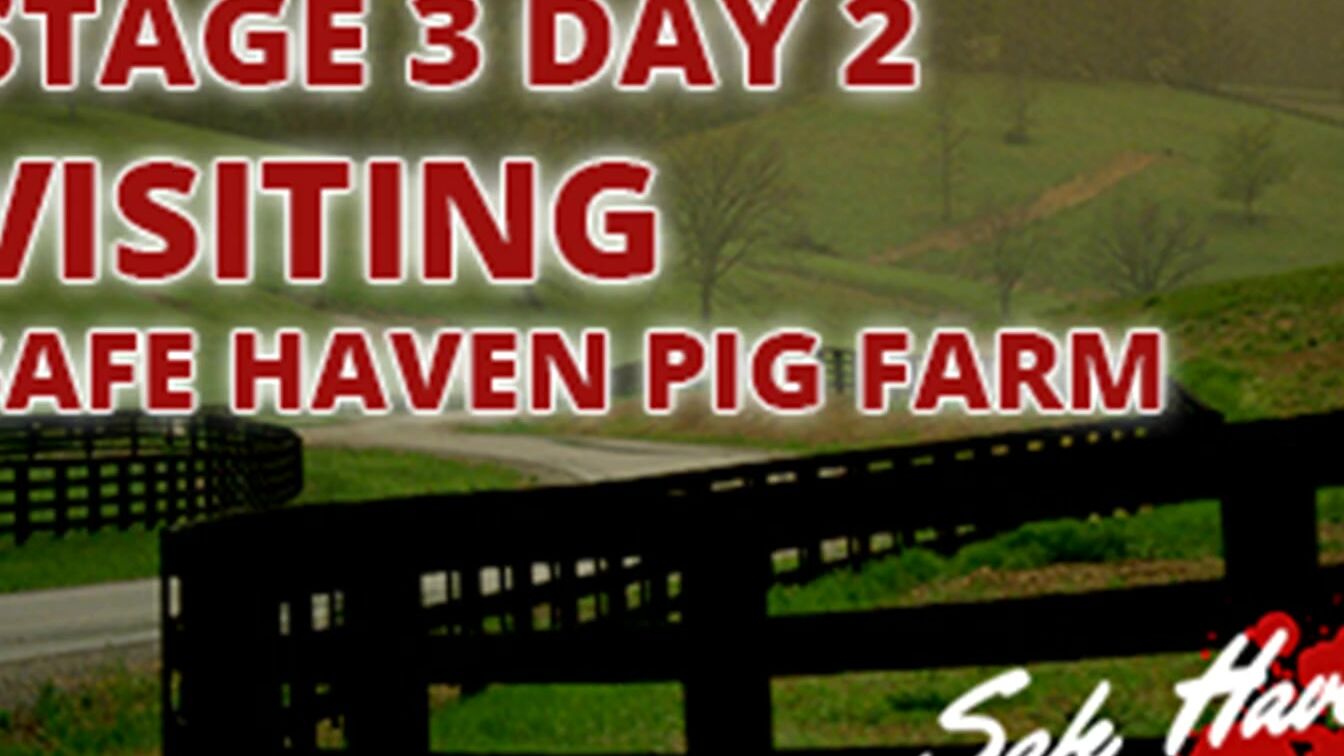 Stage three Visiting Safe Haven Pig Farm Day two