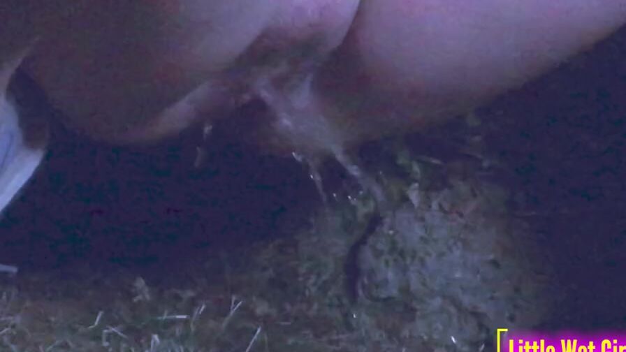 Pee public inside a meadow at night