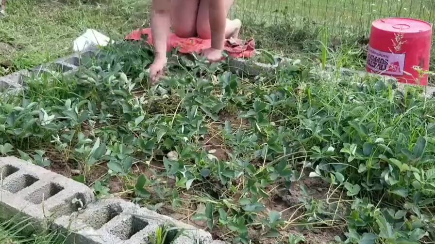 Garden PAWG pulling weeds inside the strawberry patch has a gigantic booty: hotsquirtcouple