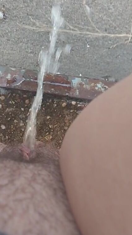 Cougar peeing