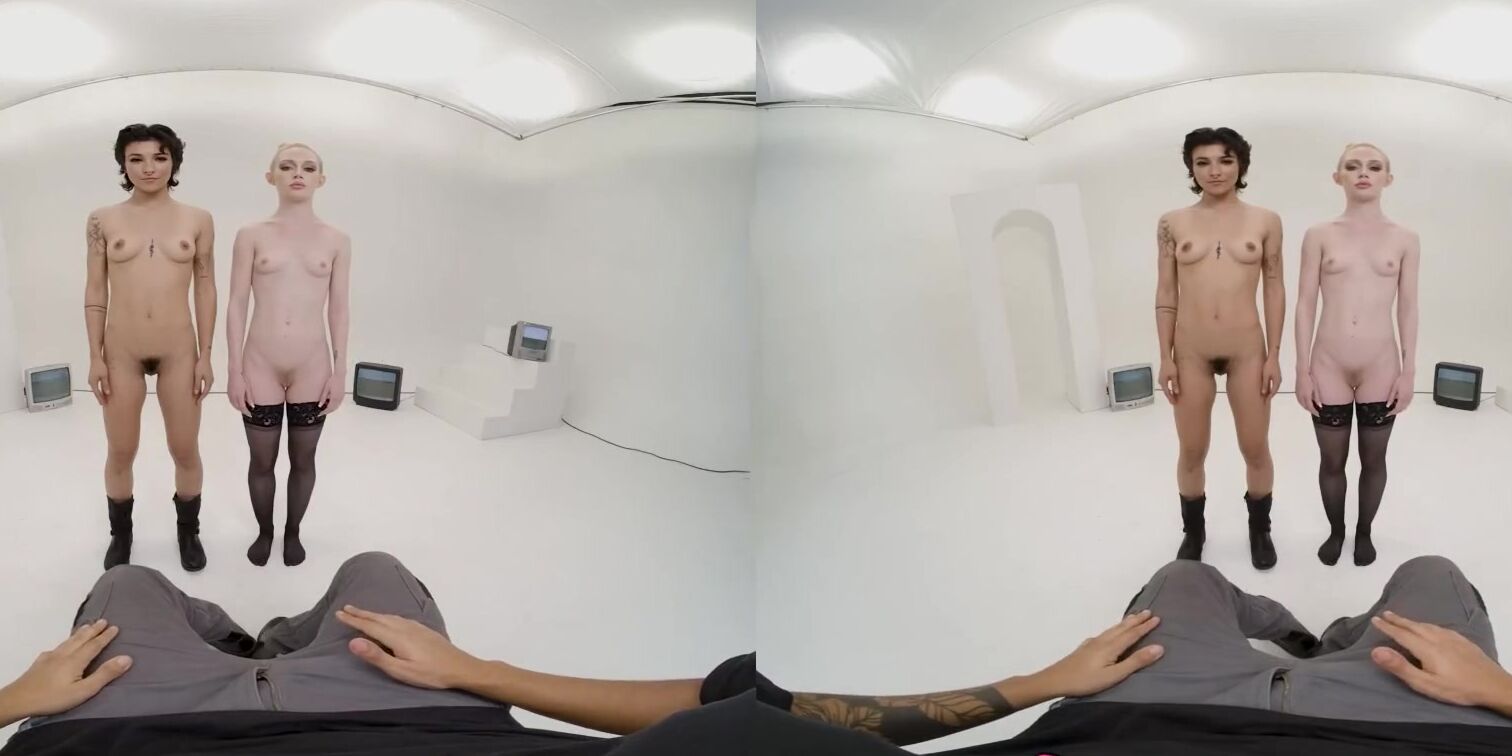 VR Conk Which Vagina Do You Choose VR Porn