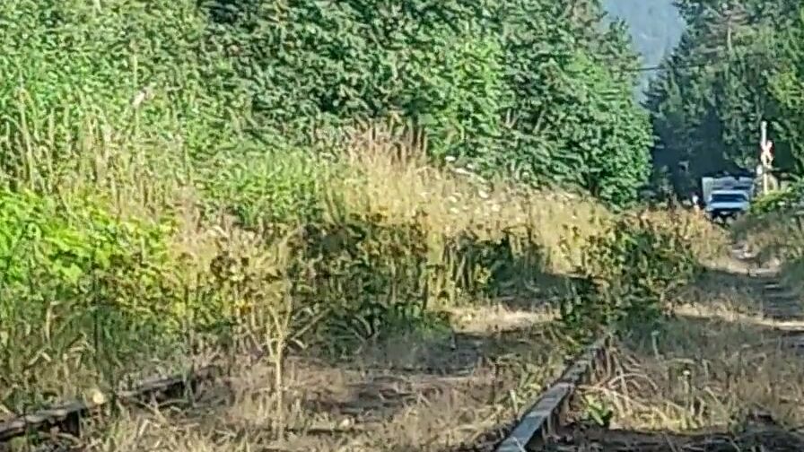 Blue haired Cougar mastrubates and ejaculates into outdoor,on the train tracks