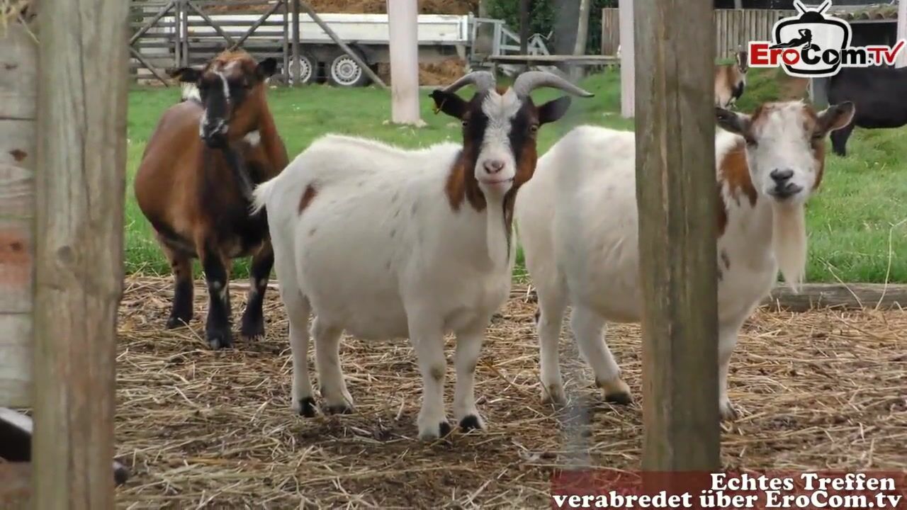 German cougar blonde have sexdate at a farm